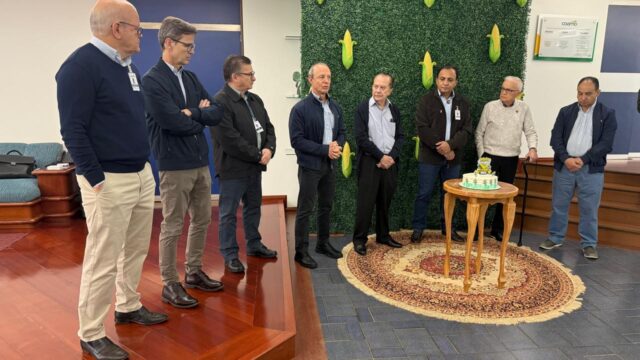 Recebimento de milho segunda safra pela Coamo